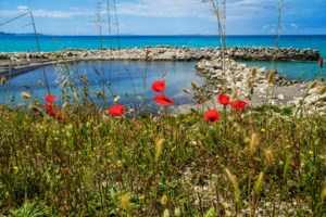 Meteo: Ερχεται καλοκαίρι "κόλαση" - Οι πιο ακραίες θερμοκρασίες της τελευταίας δεκαετίας στην Ευρώπη, αναλυτικός πίνακας - εικόνα 2