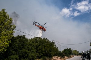 Τέσσερις προσαγωγές υπόπτων για τις φωτιές σε Αυλώνα και Μενίδι - Υπό πλήρη έλεγχο η νέα εστία στον Αυλώνα