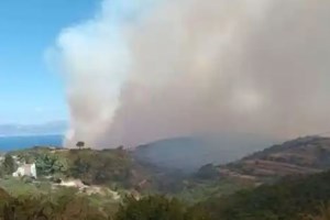 Φωτιά στην Εύβοια: Πυρκαγιά στα Κριεζά κοντά σε σπίτια [Εικόνες]