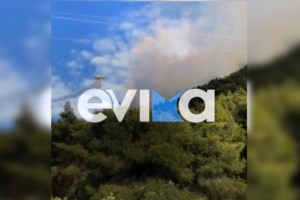 Φωτιά στο Αλιβέρι: Κοντά σε κατοικημένη περιοχή - Στη μάχη 10 πυροσβεστικά οχήματα, 1 ελικόπτερο και 2 αεροσκάφη - εικόνα 3