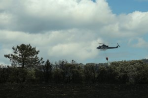 Φωτιά στη Θεσπρωτία: Συναγερμός στην Πυροσβεστική