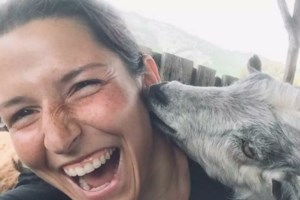 Καβάλα: "Μου είπε έλα στο μαντρί - Πήγα και τους βρήκα νεκρούς και τους τρεις" - Τι αναφέρει ο ξάδερφος του δράστη [Βίντεο]