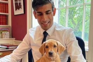 "Μπαλολίνο, ένας ξεχωριστός φίλος": Νηπιαγωγός έγραψε βιβλίο για το σκυλάκι της που έφυγε από ανίατη ασθένεια - εικόνα 5