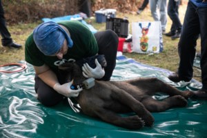 Αυτοκινητόδρομος Ε65: Υπεγράφη η σύμβαση για την κατασκευή του Βόρειου Τμήματος - Θα συνδέει Ανατολική με Δυτ. Ελλάδα - εικόνα 4