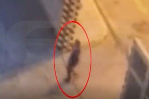 Φρίκη στο Κερατσίνι: Η 8χρονη ψυχορραγούσε και υπάλληλος του εργοστασίου την κλωτσούσε να δει αν ζει - εικόνα 6