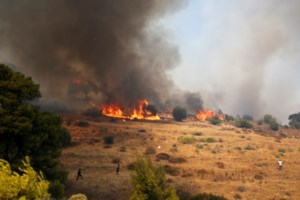 Σοκάρει ο 14χρονος για τη φωτιά στον Θεολόγο: "Έβαζα φωτιές γιατί μου άρεσε να βλέπω φλόγες και καπνούς" - εικόνα 2