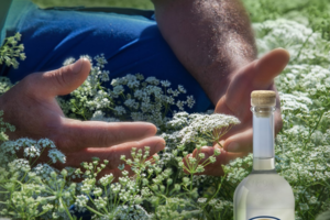 Πώς να απογειώσεις τα τριήμερα που έρχονται - εικόνα 3