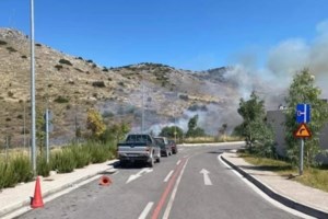 Φωτιά στη Χαλκίδα: Καλύτερη η εικόνα - Προς Νέα Λάμψακο κινείται το μέτωπο