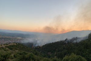Αναζωπύρωση στη Δεσκάτη Γρεβενών - Συνελήφθη 74χρονος για εμπρησμό