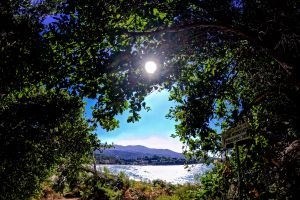 Καιρός: Έρχονται ξανά 40άρια, πού θα χτυπήσει "κόκκινο" ο υδράργυρος - Η πρόγνωση του Σάκη Αρναούτογλου έως 9 Αυγούστου - εικόνα 3