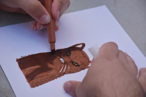 Πρωκτικοί αδένες σε σκύλο και σε γάτα: Τι είναι - Oι κινήσεις του ζώου που πρέπει να σας αφυπνίσουν - εικόνα 3