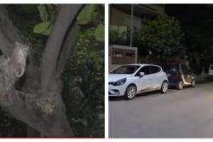 Πώς έγινε η τραγωδία στην Ελευσίνα: Σκότωσε τη μητέρα της μπροστά στα εγγόνια, ενώ τη βοηθούσε να παρκάρει - εικόνα 2