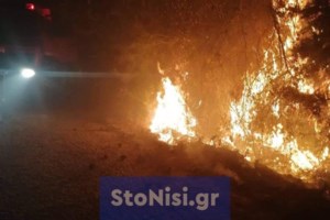 Meteo: Περισσότερες οι φωτιές φέτος αλλά λιγότερες οι καμμένες εκτάσεις