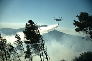 Έβρος: Υπό μερικό έλεγχο η πυρκαγιά κοντά στην περιοχή της Κορνοφωλιάς