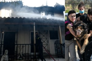 Φωτιά στα Βίλια: Σε ύφεση το πύρινο μέτωπο - Επιχειρούν 220 πυροσβέστες με 64 οχήματα - εικόνα 2