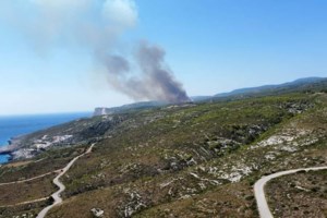 Πυροσβεστική: 52 δασικές πυρκαγιές το εικοσιτετράωρο - Πολύ υψηλός ο κίνδυνος και αύριο Τρίτη