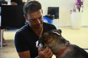 Dogs' Voice: Τι λέει για την υπόθεση υιοθεσίας του πυρόπληκτου σκύλου από τον Στέφανο Κασσελάκη