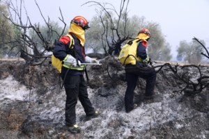 Τρίκαλα: Φωτιά σε πλαγιά στα Στουρναρέικα - Επιχειρεί ελικόπτερο
