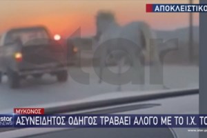 Καταγγελία σοκ στην Κύμη: Ξυλοκόπησαν μάνα και γιο επειδή τους ζήτησαν να μην χτυπούν τα αδέσποτα [βίντεο]