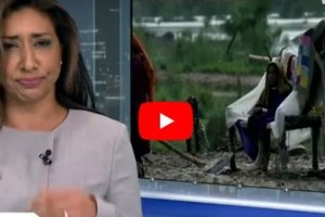 Ανατριχίλα στην Αχαΐα: Χιλιάδες σκαθάρια κάνουν επιδρομή σε χωριό [εικόνες - βίντεο] - εικόνα 2