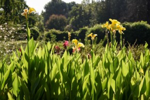 Μαρουσάκης: Επιστρέφει ο... χειμώνας την Τετάρτη λόγω Ωμέγα εμποδιστή - Στους 25 βαθμούς ο υδράργυρος το Σαββατοκύριακο - εικόνα 6