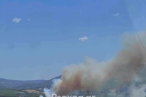 Φωτιά τώρα στην Ηλεία: Κοντά σε σπίτια οι φλόγες - Σηκώθηκαν και ενάερια μέσα