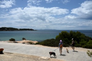 Ανησυχία από τις συνθήκες ξηρασίες στην Ανατολική Ελλάδα: Ποιες περιοχές κινδυνεύουν με ερημοποίηση - εικόνα 4