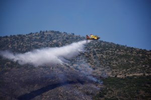 Δύσκολη μάχη: Ανεξέλεγκτη η φωτιά στην Κέρκυρα - 2 τραυματίες στο Ρέθυμνο - Ακόμη 5 πυρκαγιές σε εξέλιξη [Εικόνες-Βίντεο] - εικόνα 3