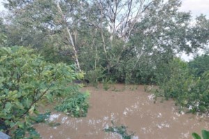 Ολονύχτια αγωνία στη Λάρισα - Μάχη να μην μπει στην πόλη ο Πηνειός - SOS εκπέμπουν η Φαρκαδόνα και η Πηνειάδα [Εικόνες - Βίντεο] - εικόνα 9