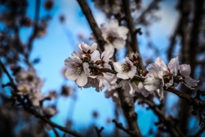Καιρός: Πού θα βρέξει τις επόμενες ώρες - Η πρόγνωση Μαρουσάκη για το τριήμερο της 25ης Μαρτίου - εικόνα 3