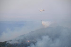 Αλεξανδρούπολη: Ανοίγουν αύριο οι αιτήσεις για οικονομική ενίσχυση των πυρόπληκτων - εικόνα 2