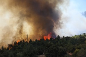 Φωτιά στη Σάμο: Βίντεο ντοκουμέντο - Η στιγμή που εκρήγνυται βλήμα στο πεδίο βολής