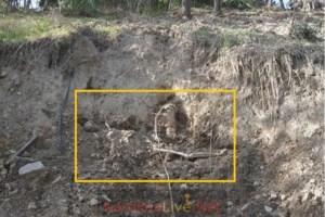 Κακοκαιρία Daniel: Μάχη με τον χρόνο και τις λάσπες στον θεσσαλικό κάμπο - Υγειονομική "βόμβα" τα νεκρά ζώα - εικόνα 2