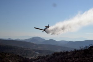 Οι τελευταίες εξελίξεις από τα πύρινα μέτωπα: Δύσκολη νύχτα για την Εύβοια - Παρατείνεται η ΠΝΠ - εικόνα 2