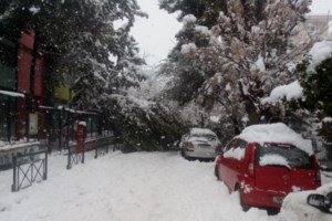 Η ηλεκτροδότηση χάθηκε στο… 1,5 μέτρο από τα καλώδια - "Μπαλάκι" οι ευθύνες για το σκοτάδι στα Βόρεια Προάστια Αττικής - εικόνα 3