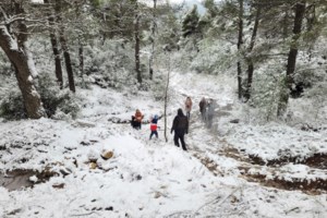 Στην αντεπίθεση ο Κολυδάς: Αιχμηρή ανάρτηση μετά την κριτική από την κυβέρνηση για την πρόγνωση της κακοκαιρίας "Ελπίς"
