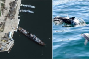 Ουκρανία: Αυτοί είναι οι Ρώσοι στρατιώτες που καταζητούνται για εγκλήματα πολέμου στην Μπούτσα - εικόνα 2