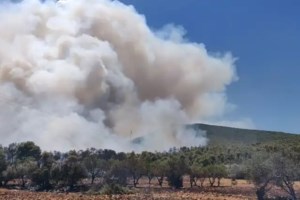 Φωτιά στο Σοφικό Κορινθίας: Πυροσβέστης έπαθε καρδιακό επεισόδιο - Ολονύχτια μάχη με τις φλόγες