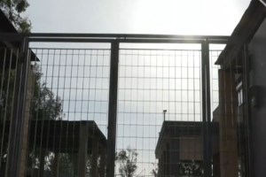 Φυλή: Οδύνη στο τελευταίο "αντίο" στον 13χρονο που αυτοκτόνησε στο σπίτι του - "Ηταν ευαίσθητος, καλοπροαίρετος και εσωστρεφής" - εικόνα 2