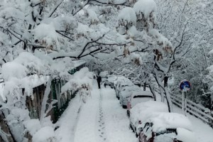 Κεραμέως: Δεν θα μειωθεί η ύλη - Με τηλεκπαίδευση τα σχολεία που θα κλείσουν λόγω κακοκαιρίας - εικόνα 2