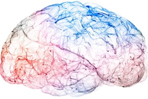 "Χαμένες Αναμνήσεις": Εκστρατεία ευαισθητοποίησης για το Αλτσχάιμερ - Η νόσος μάστιγα του 21ου αιώνα - εικόνα 3