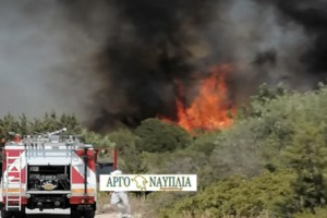 Φωτιά στη Μαγνησία – Μήνυμα από το "112" για απομάκρυνση κατοίκων