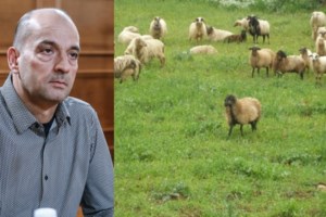 Κωνσταντοπούλου για Τσίπρα: "Θα έπρεπε να είναι στη φυλακή για το Μάτι, τον κάλυψε ο Μητσοτάκης" - εικόνα 2
