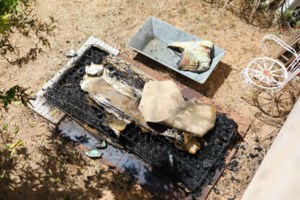 ΕΛΑΣ: Συνεληφθη 61χρονος για παράνομο οπλισμό - Απειλούσε πολιτικούς της Σουηδίας στο διαδίκτυο