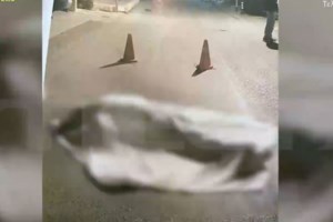 Κούγιας για δράστη Μονεμβασιάς: Είχε περίεργη συμπεριφορά πριν το μακελειό - Η μητέρα του είναι διπολική