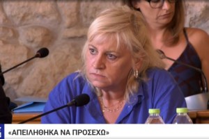 Χαλκιδική: "Θα τους κάνω να μην μπορέσουν να σηκώσουν κεφάλι": Προκλητικός ο χειριστής πριν την τραγωδία- Ξεσπά ο πατέρας του Γιάννη - εικόνα 3