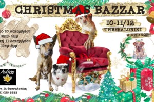 Θεσσαλονίκη:  Άναψε το Χριστουγεννιάτικο δέντρο στην πλατεία Αριστοτέλους