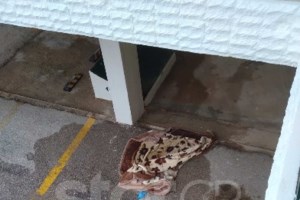 Ωρωπός: "Χτυπήσαμε στους γείτονες για να την πλύνουμε και δεν άνοιξε κανείς" - Τι ισχυρίζεται ο διασώστης μετά τον σάλο - εικόνα 3