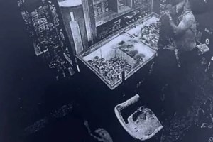 Ν. Φιλαδέλφεια: Προφυλακίστηκαν 30 χούλιγκαν - "Ήμουν περαστικός - Είχα τον σουγιά για δουλειά" είπαν Έλληνας και Αλβανός - εικόνα 3