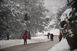 Κακοκαιρία: Τι πρέπει να γνωρίζετε, να προσέξετε και να ελέγξετε - Πού θα αναζητήσετε πληροφορίες για τις μετακινήσεις σας - εικόνα 4